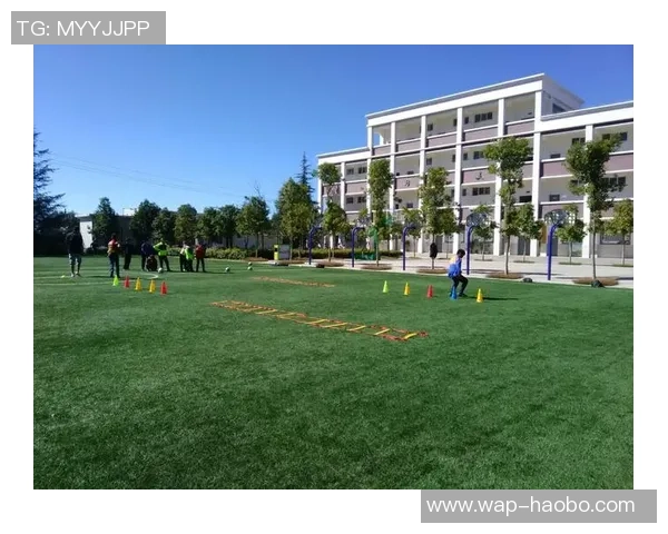 株洲县足球发展新篇章青少年培养与社区联动共创辉煌未来