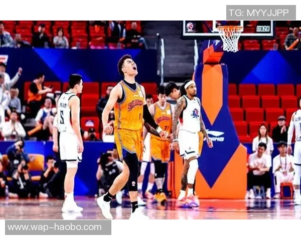 源深篮球:探索篮球文化的深厚底蕴与未来发展之路