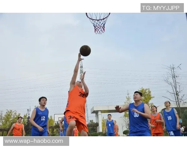 篮球瑶的成长之路从校园到职业赛场的奋斗与梦想