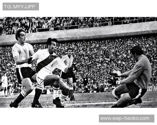 瓦努阿足球队的崛起与挑战：探索小国足球的梦想与奋斗历程